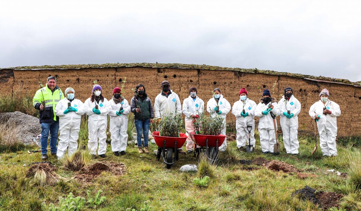 Pasco: AMSAC realizó campaña de forestación de 800 quinuales en Champamarca y Quiulacocha
