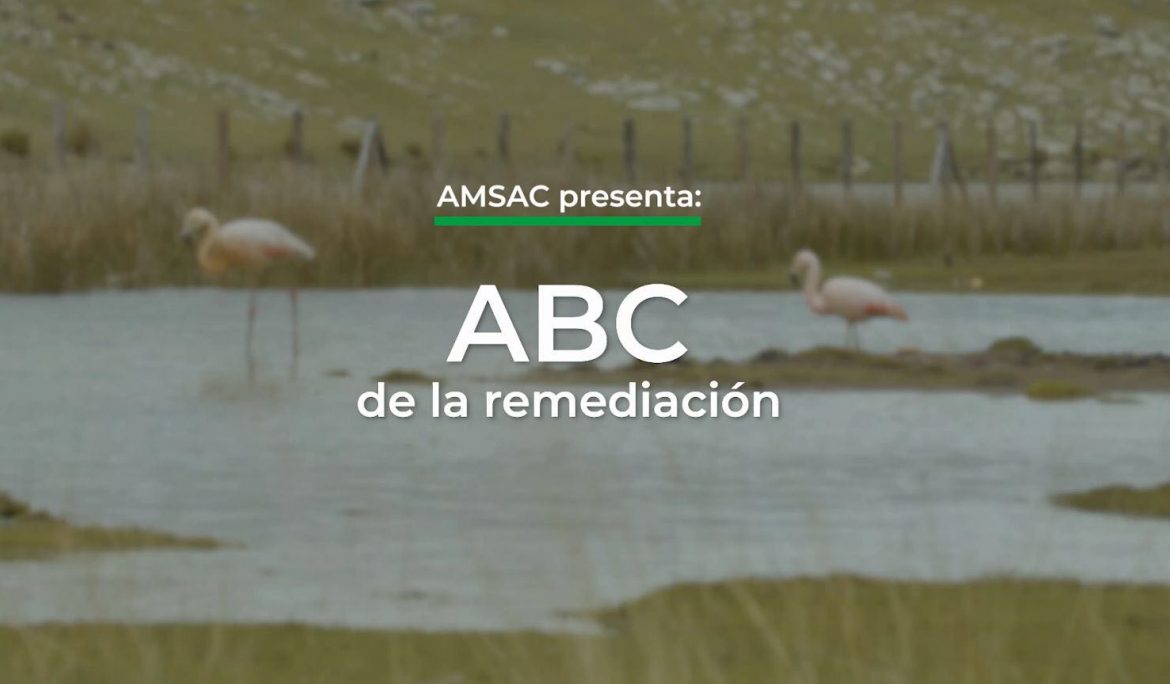 AMSAC LANZA ESPACIO EDUCATIVO DIGITAL EL ABC DE LA REMEDIACIÓN