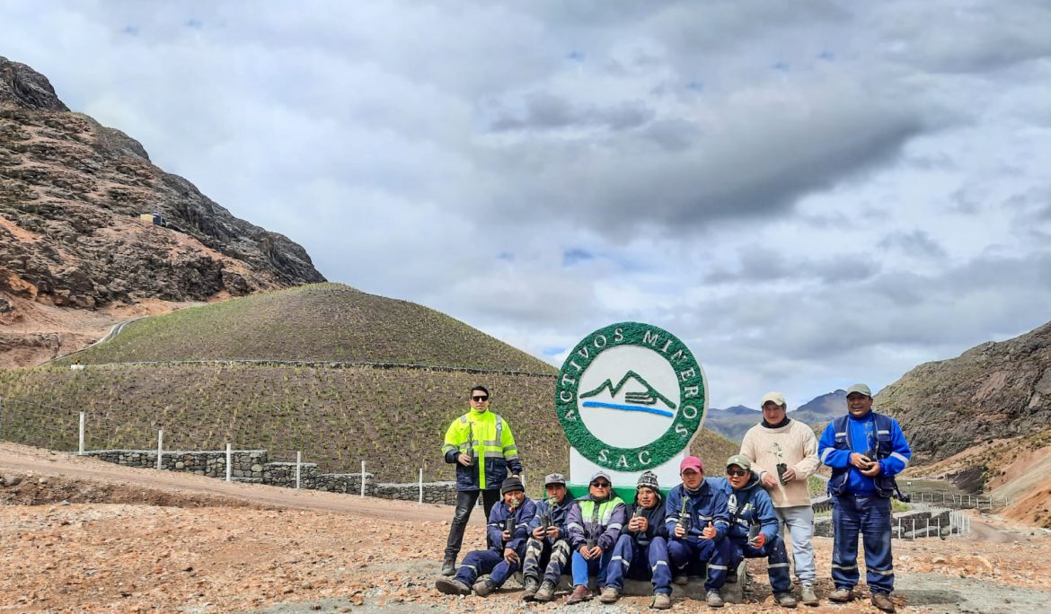 AMSAC lideró reforestación en Huarochirí con 250 plantones de quinuales