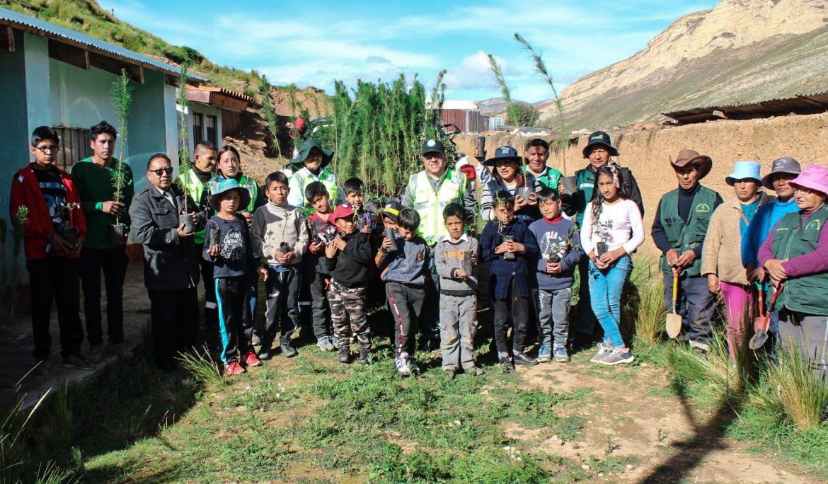 Junín: AMSAC realizó campaña de reforestación de 300 quinuales, pinos y ceticios en La Oroya