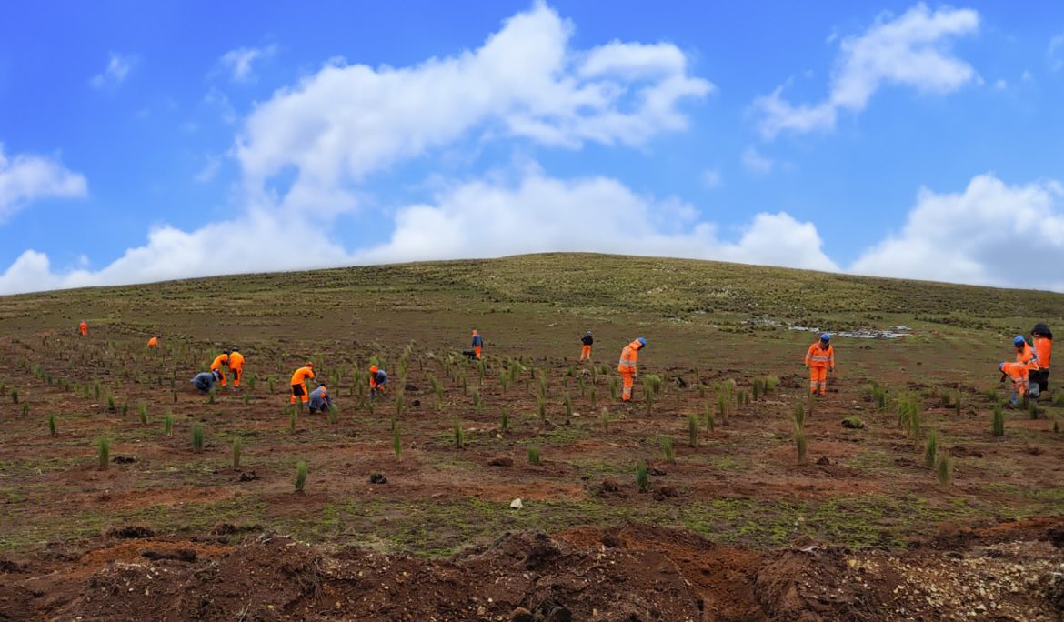 Junín: AMSAC reinicia obras de remediación de suelos en proyecto Margen Izquierda